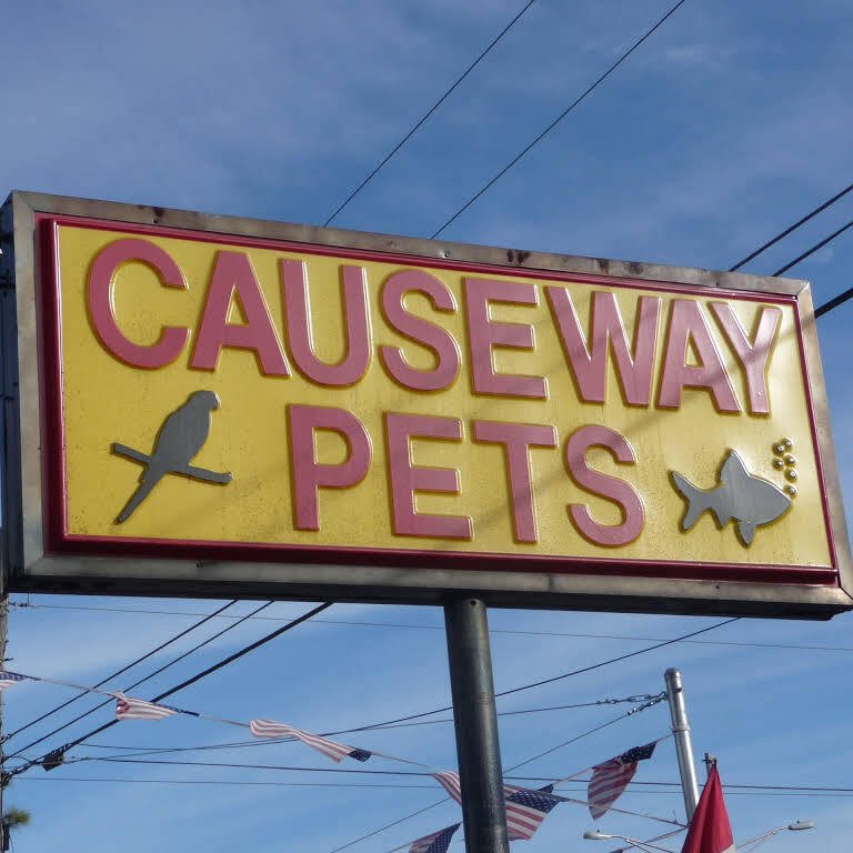 Gallery Metairie, LA Causeway Pets