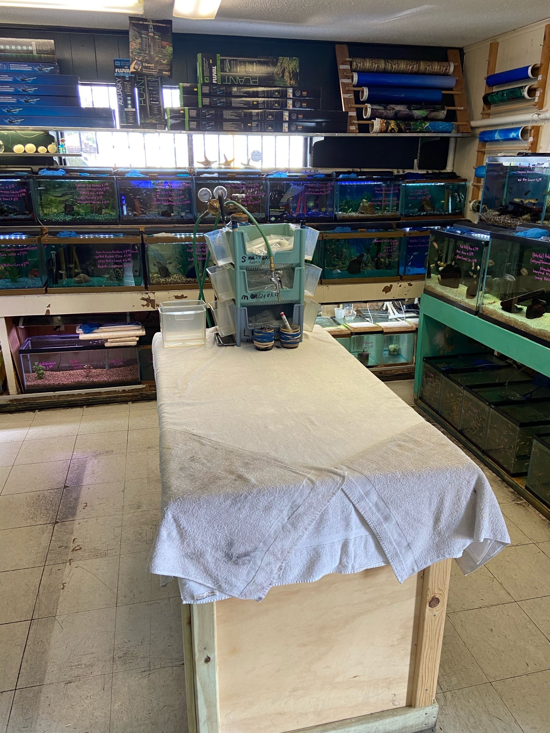 Gallery Metairie, LA Causeway Pets