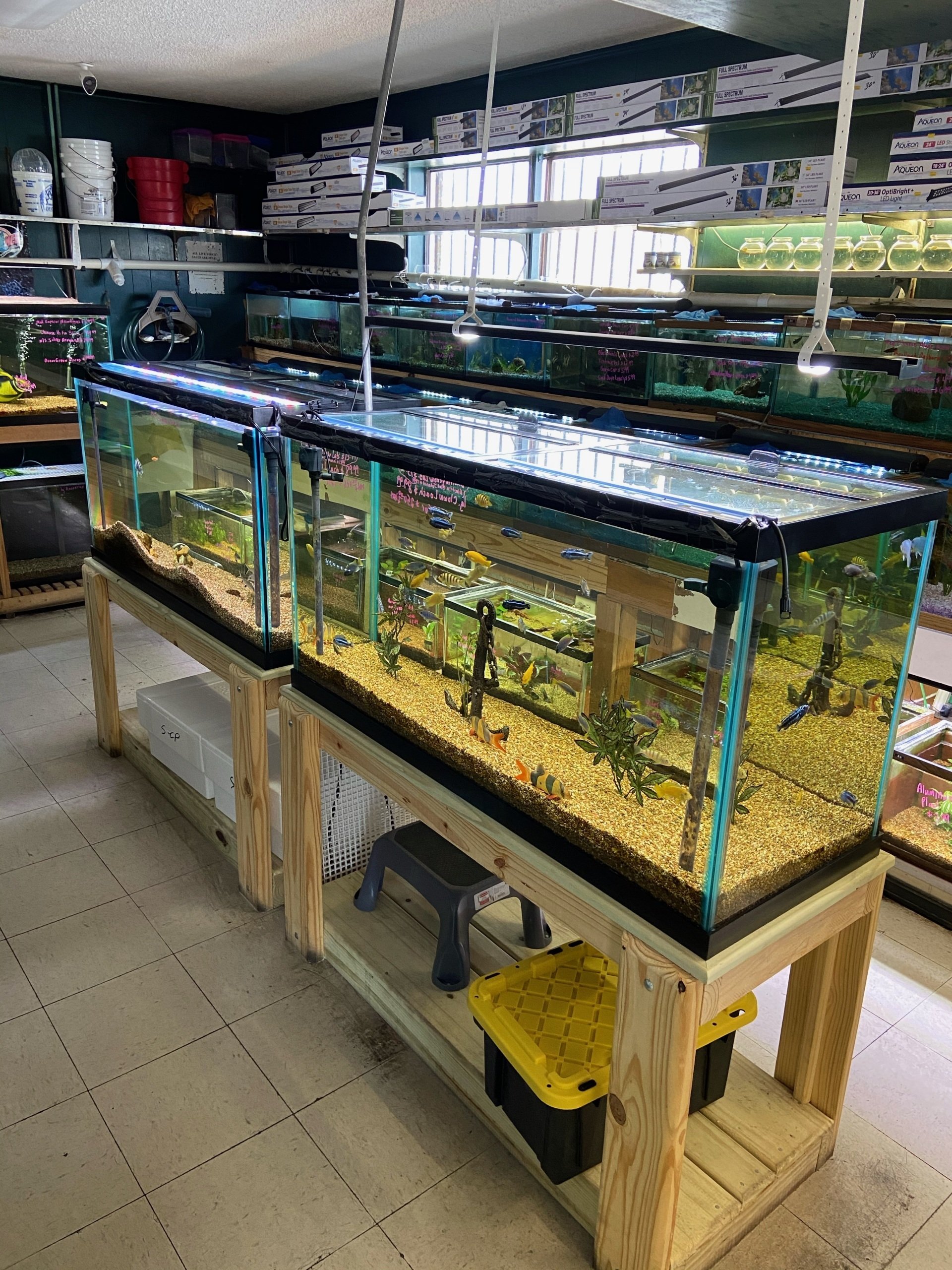 About Us Metairie, LA Causeway Pets