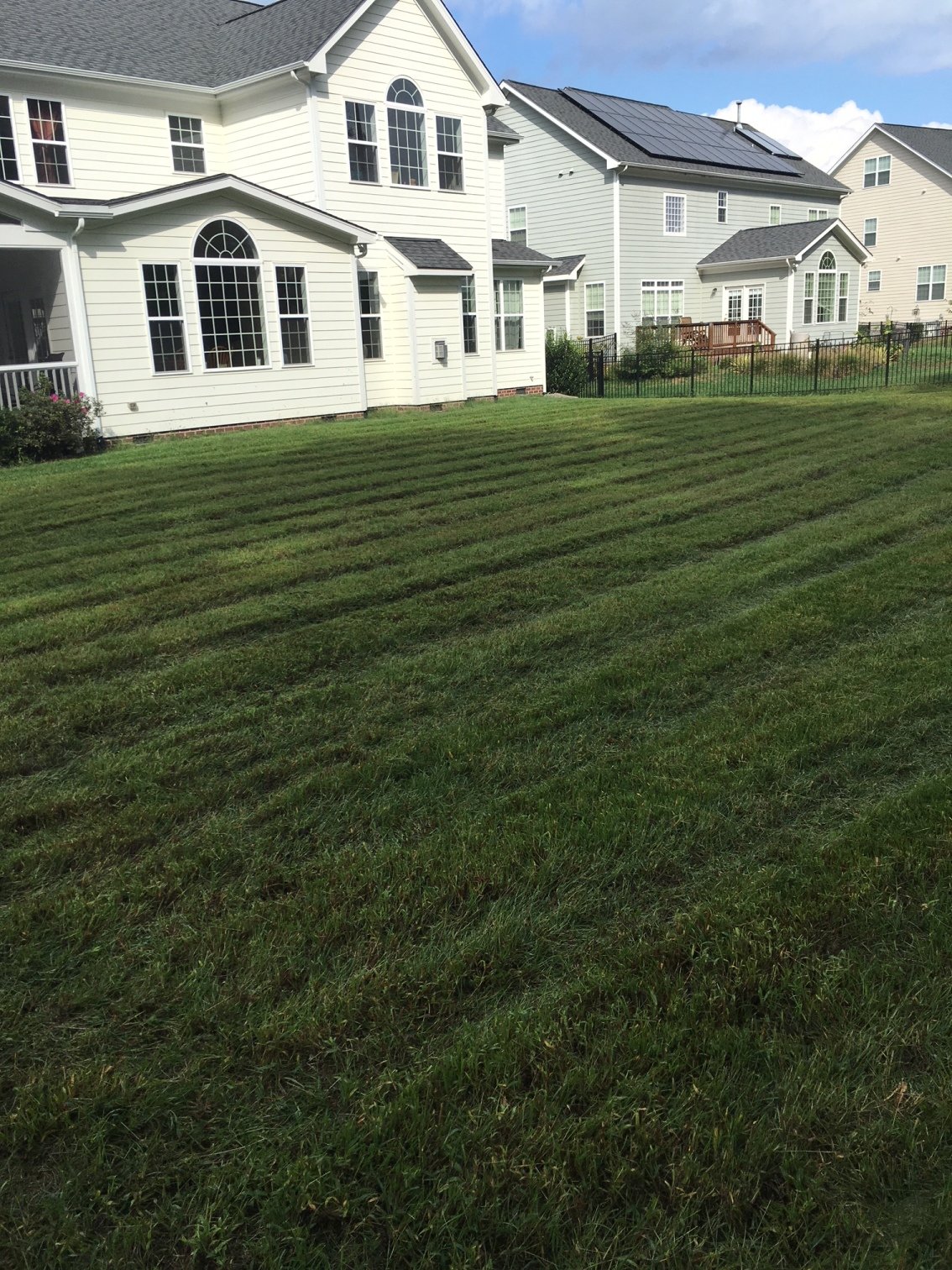 About Carolina Turf Organic Lawn Care