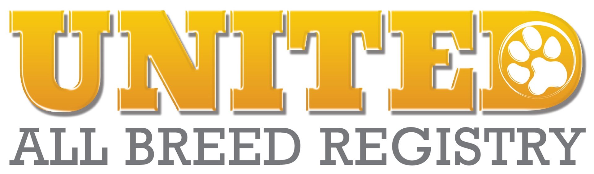 Petit Jean Puppies Toy & Mini Goldendoodle Cavapoo