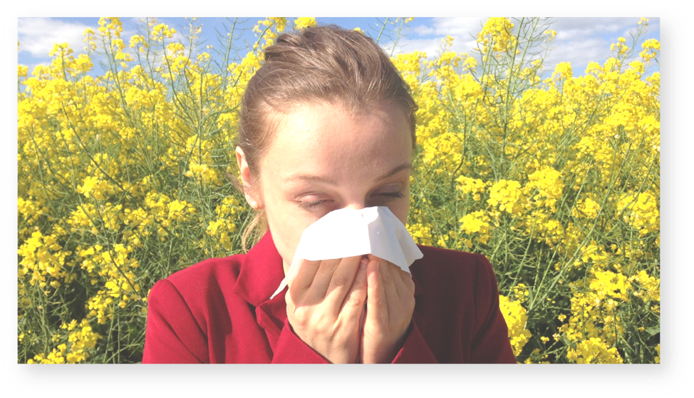 Fall Allergies 2023 Mn