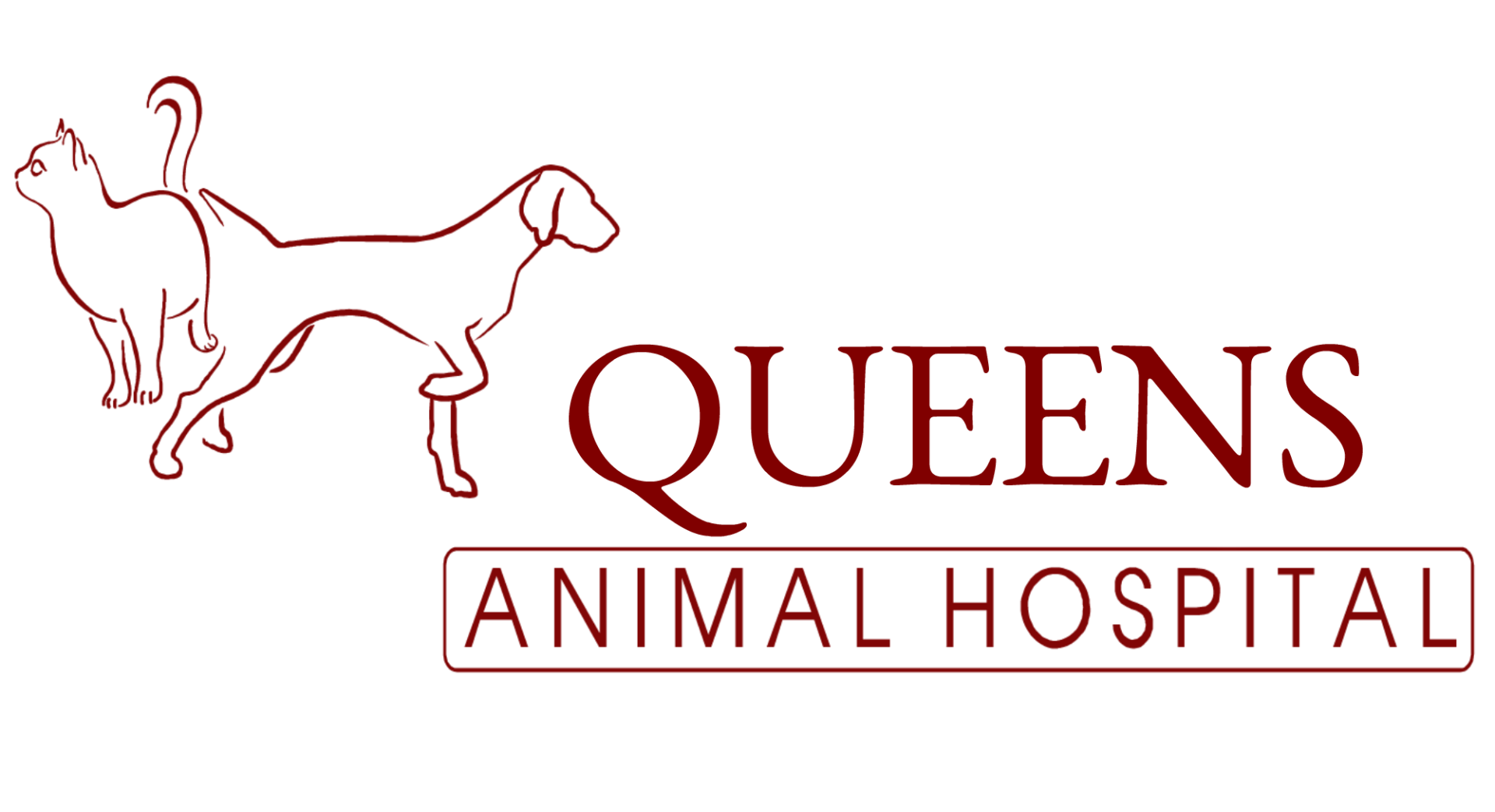 Best Veterinarian in Queens Queens Animal HospitalNYC Veterinarians