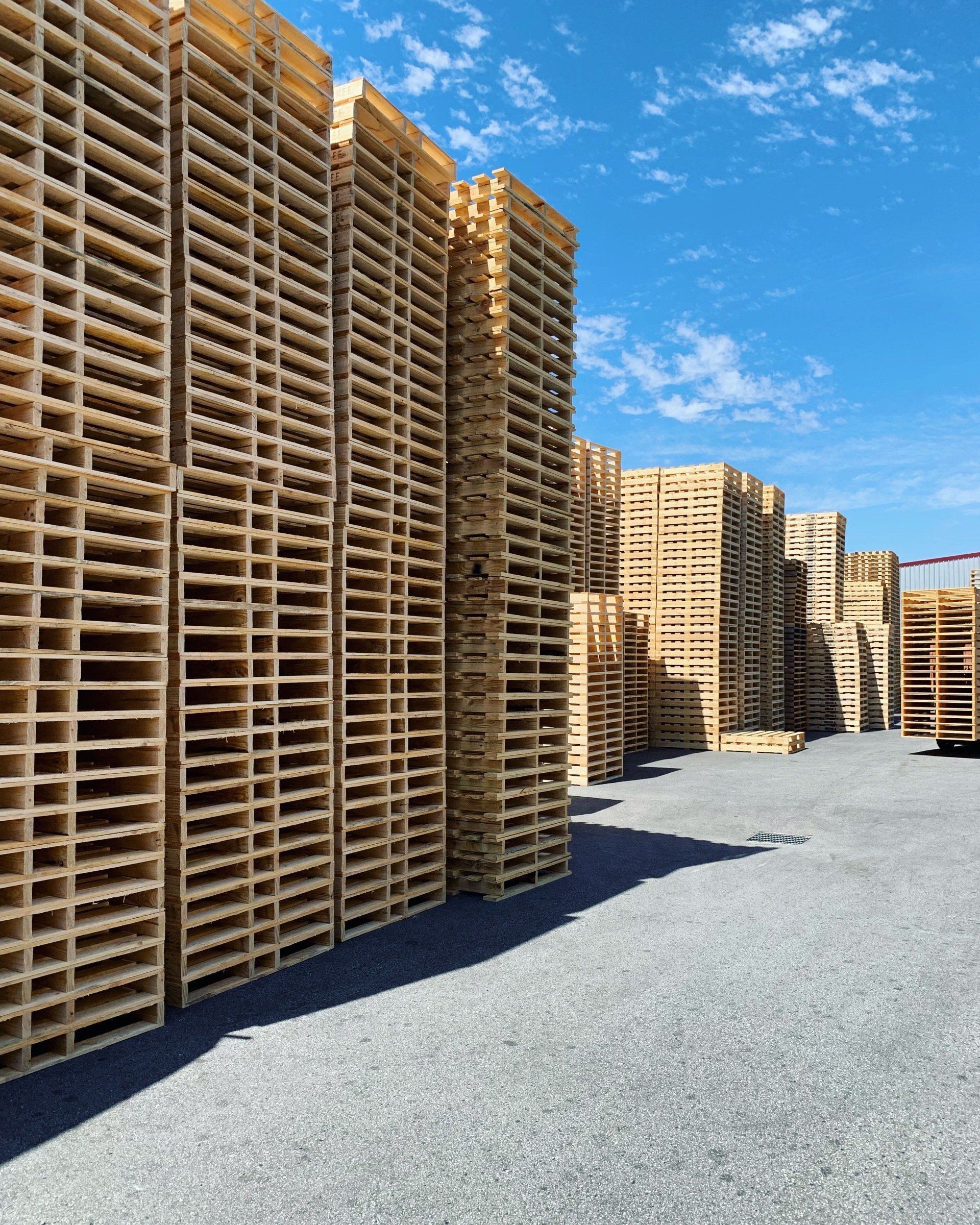 Pine Pallets in Perth 1/2 Price Pallets