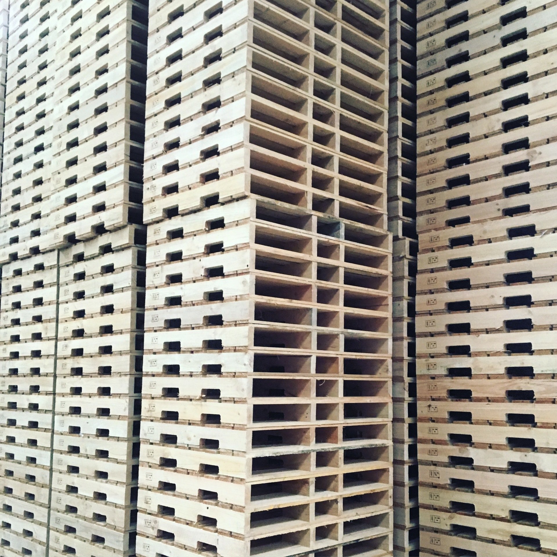 Wooden Pallets Suppliers in Perth 1/2 Price Pallets