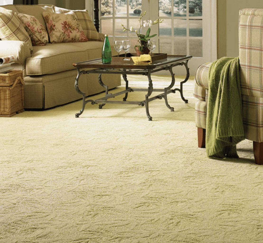Tips to Maintain Your Carpets Thunderbolt Carpet Cleaning
