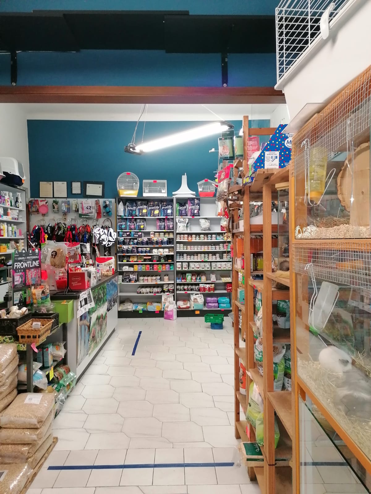 Negozio Animali Milano Argo pet shop