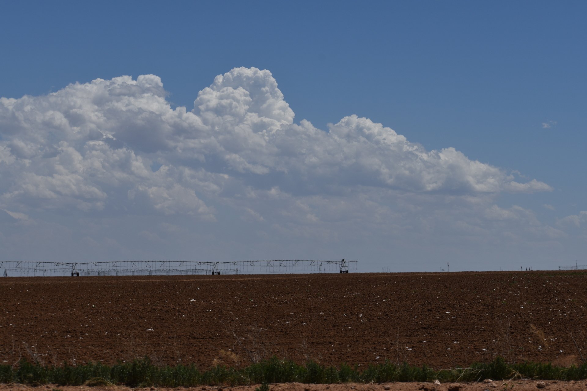 City of Bovina Public Services