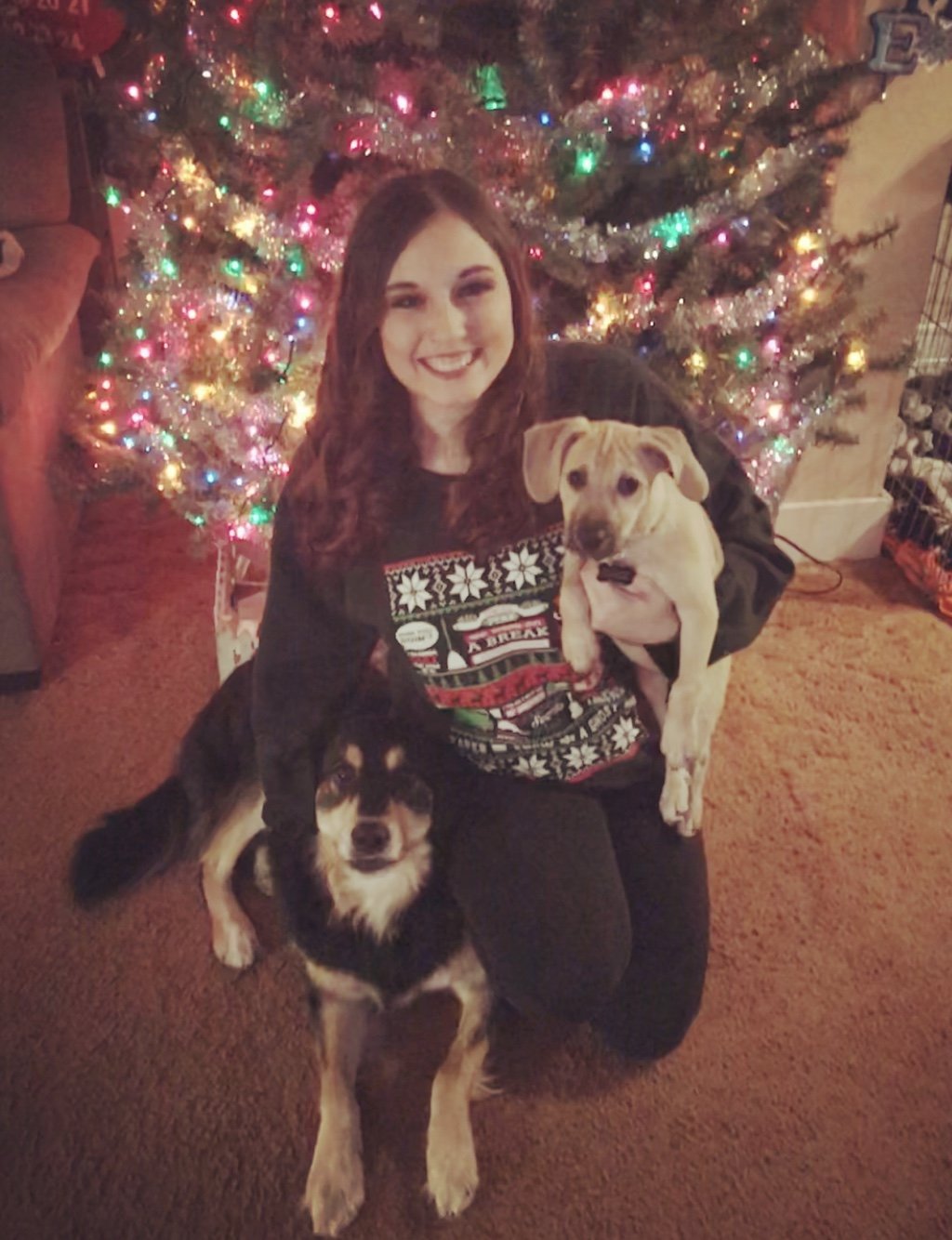 Companion Care Animal Hospital Wheatfield, NY