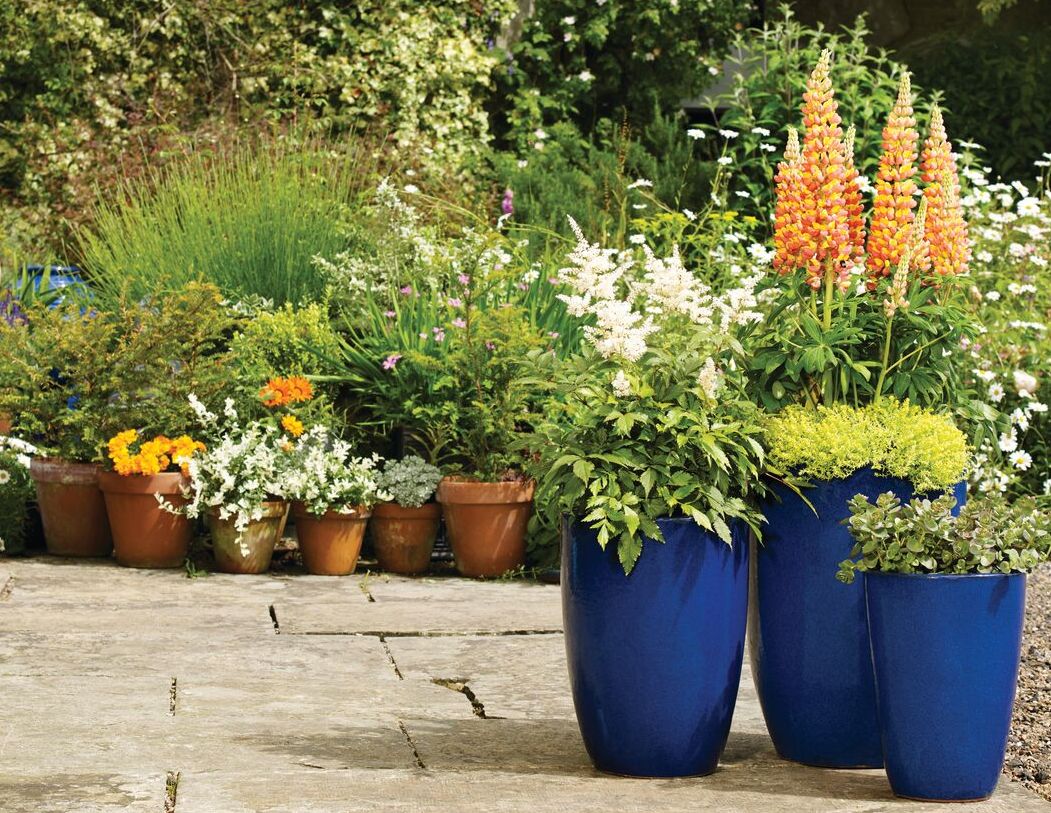 Pots and planters Phillimore Garden Centre
