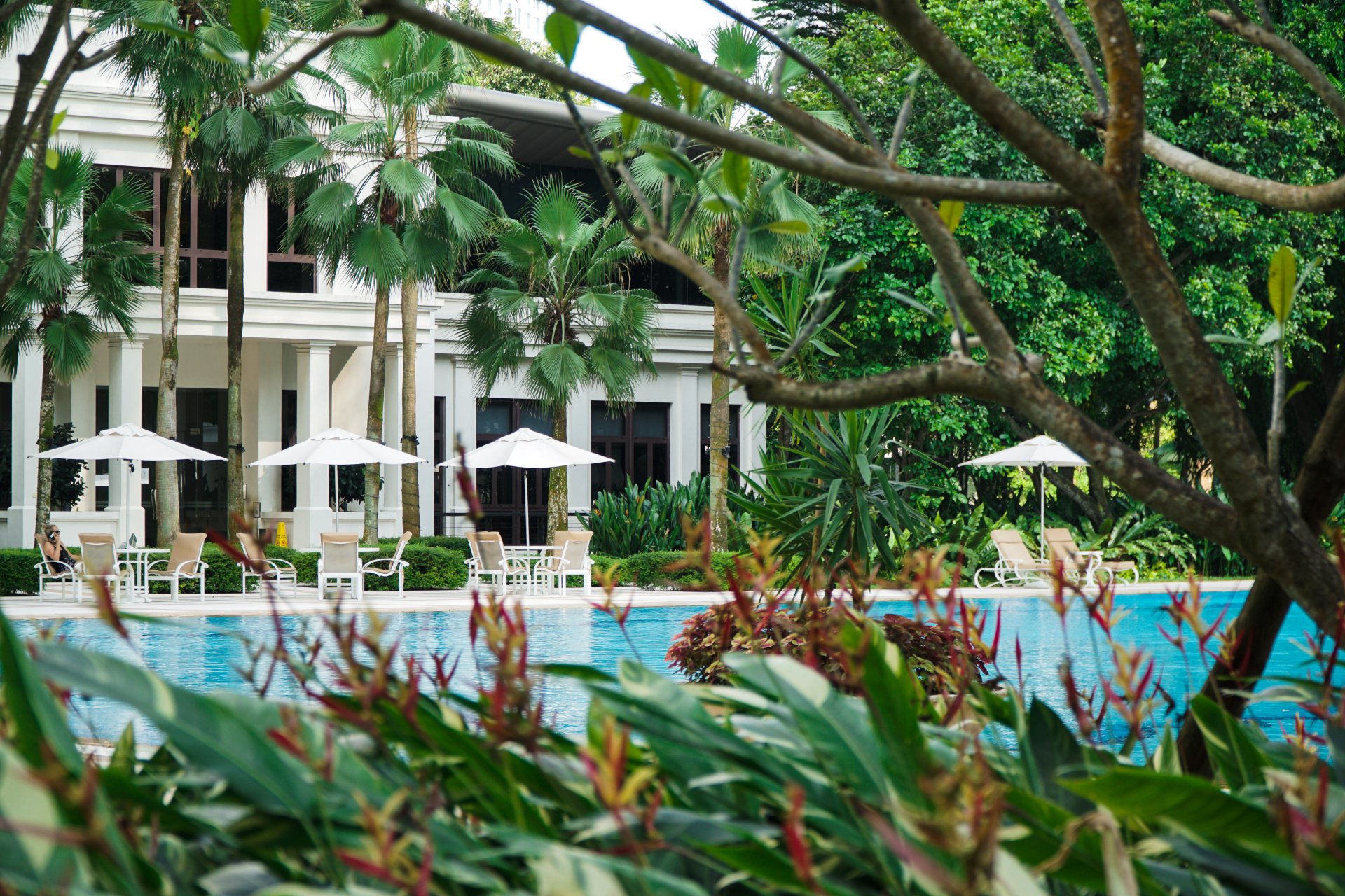 Nature Landscape Portfolio Ardmore Park