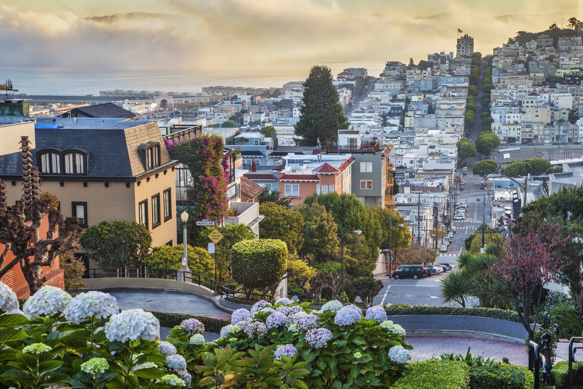 Eviction Attorneys San Francisco CA Eviction Law Firm