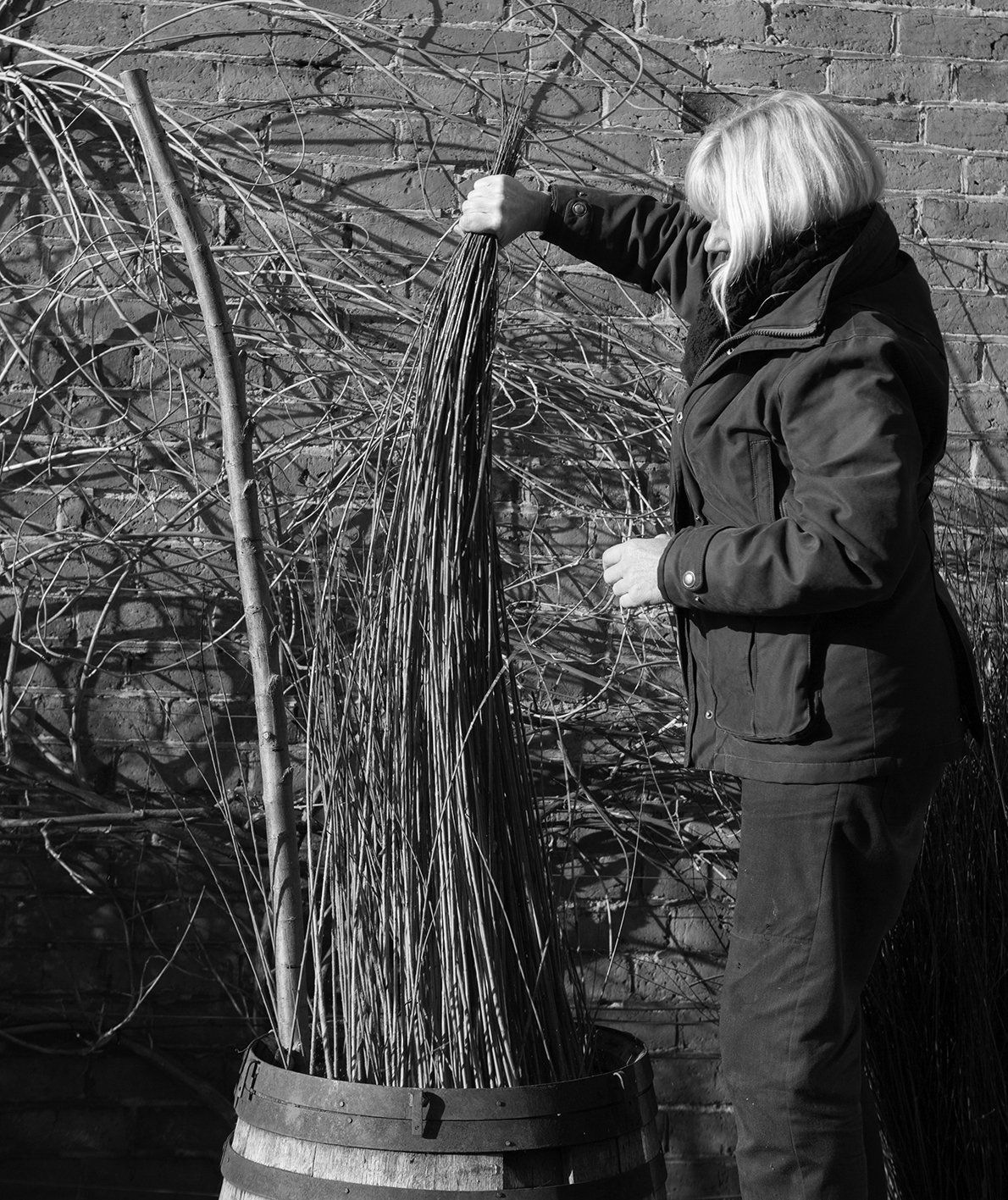 Jenny Crisp Basket Maker & Willow Grower