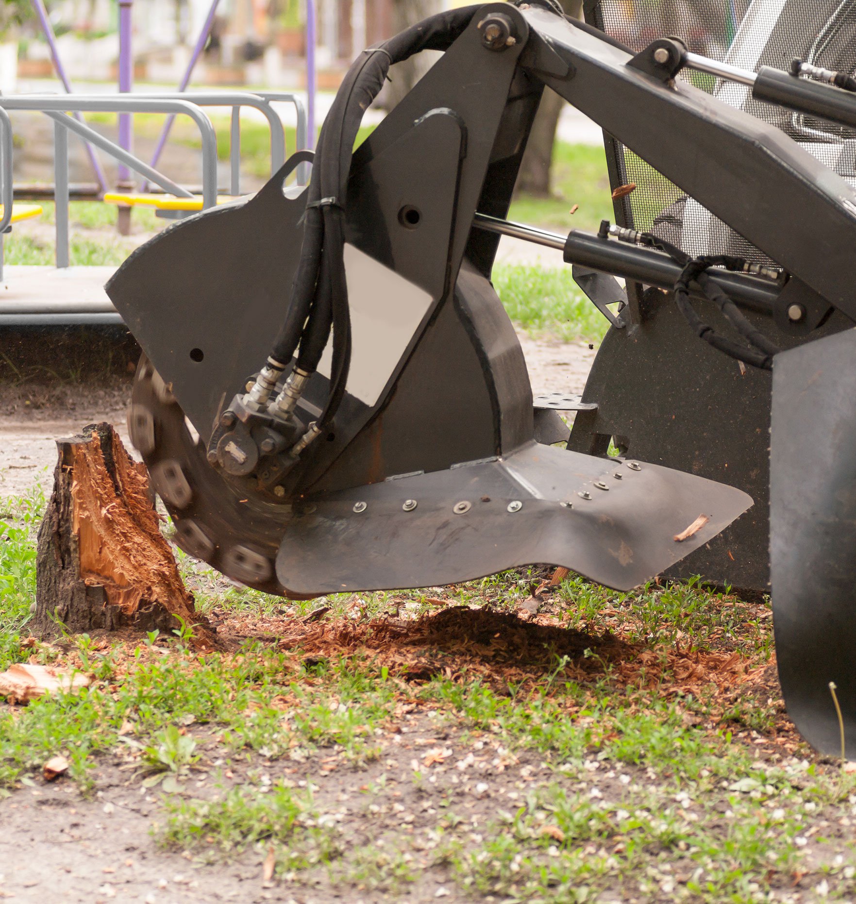 Stump Grinding Lakeland, Bartow, Winter Haven, Plant City, & Mulberry, FL