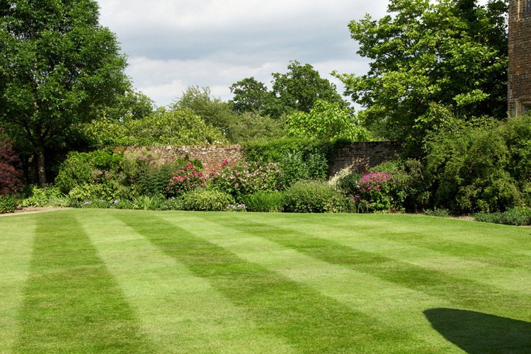 Landscaping company Munro Landscapes