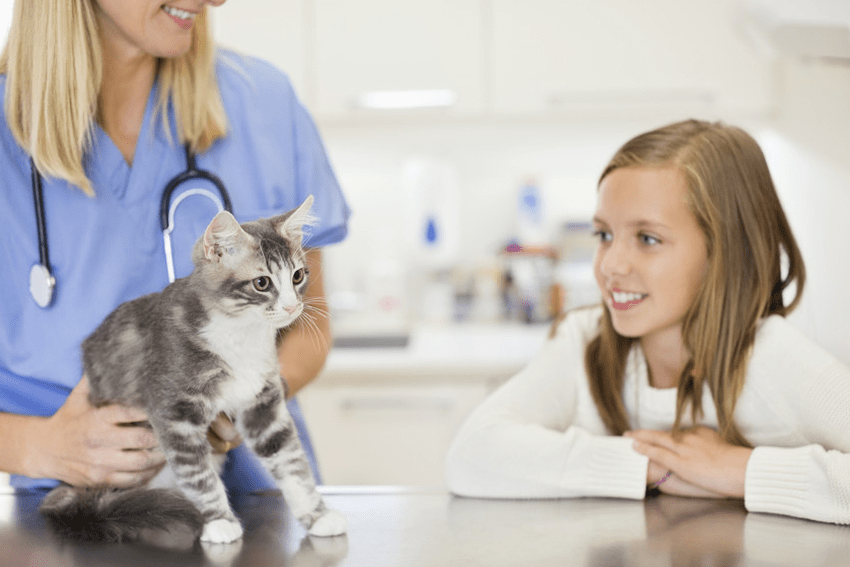 Pet health checks Ash House Vets Ltd