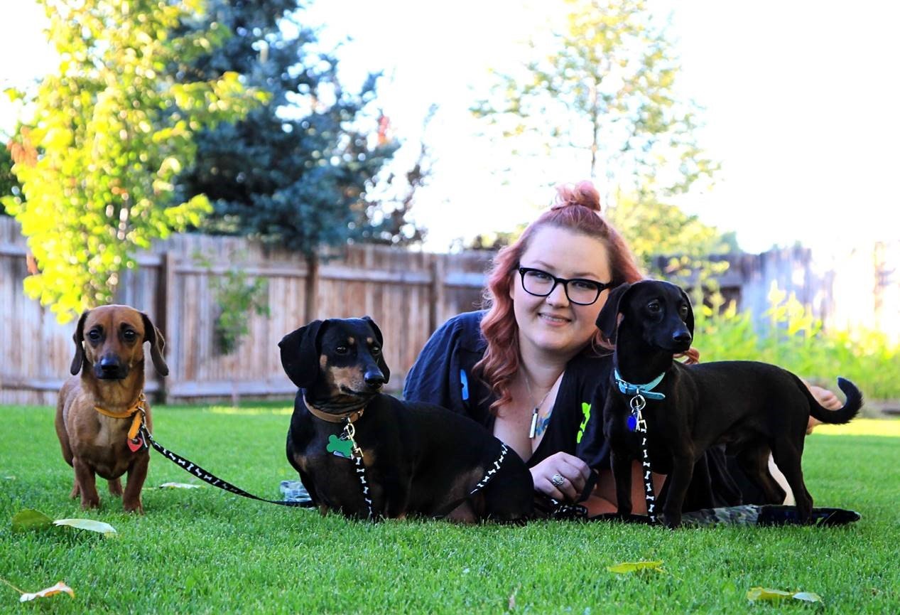 Dog Groomer Idaho Falls, ID Class Act Grooming