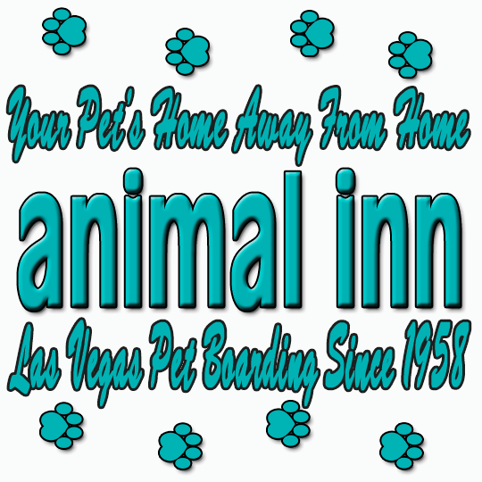 Local Pet Boarding Las Vegas, NV The Animal Inn