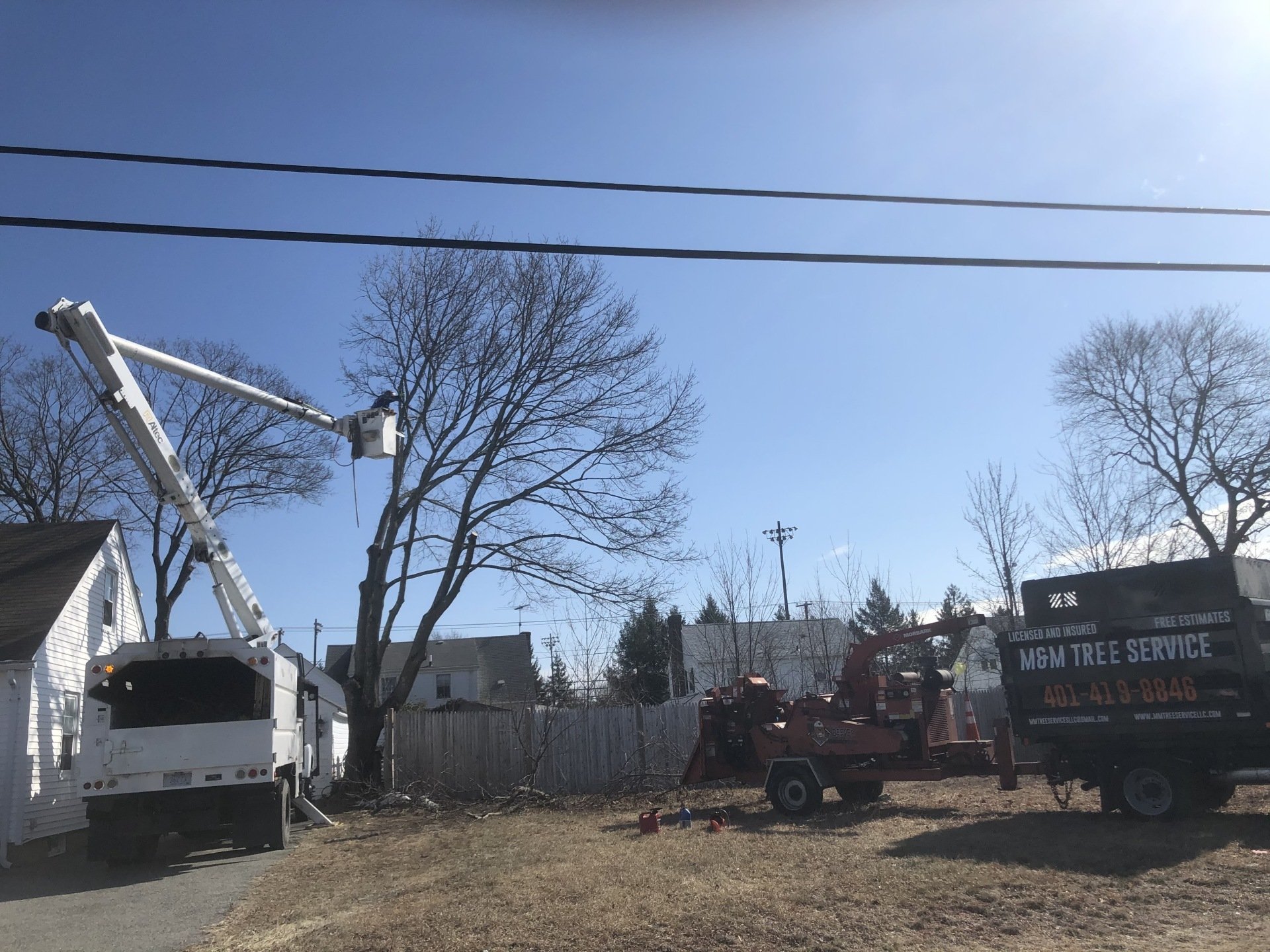 M&M Tree Service Tree Service Professional Tree Services 24/7