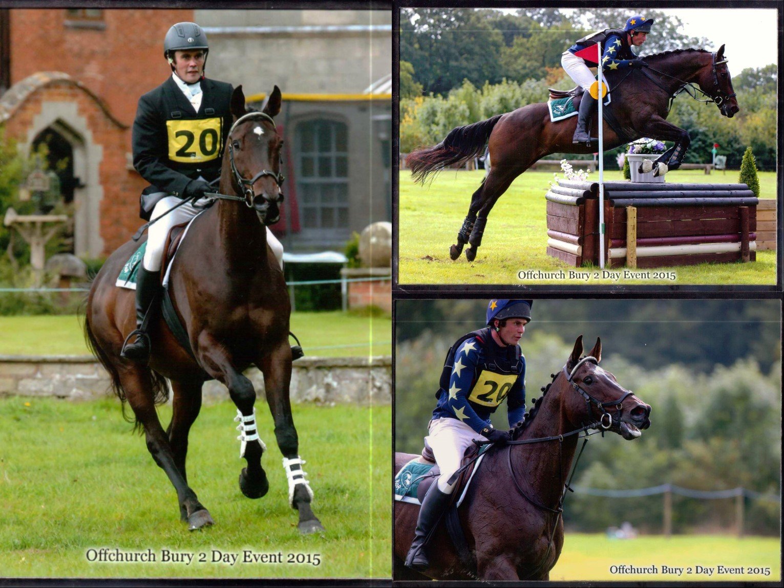 Horse Trainers Worcester Mills Stables Retraining Racehorses