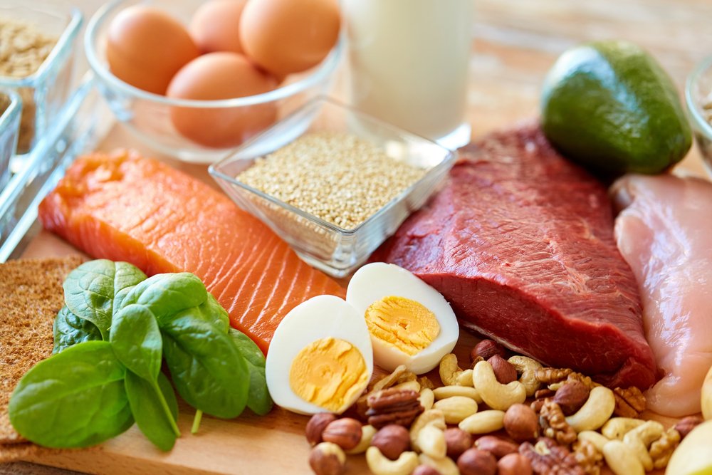 Why Is Protein So Important?