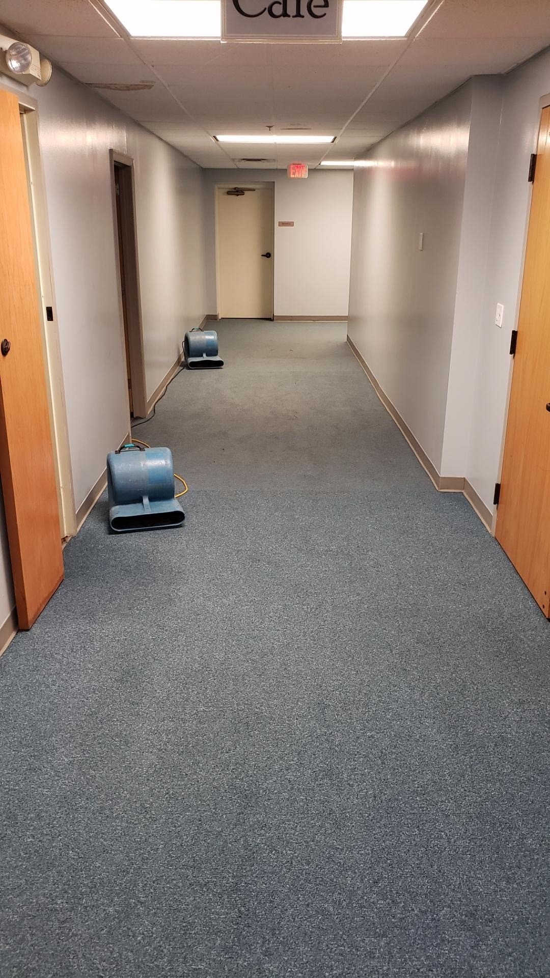 Carpet Cleaning Columbus, OH Buckeye Carpet Care Inc