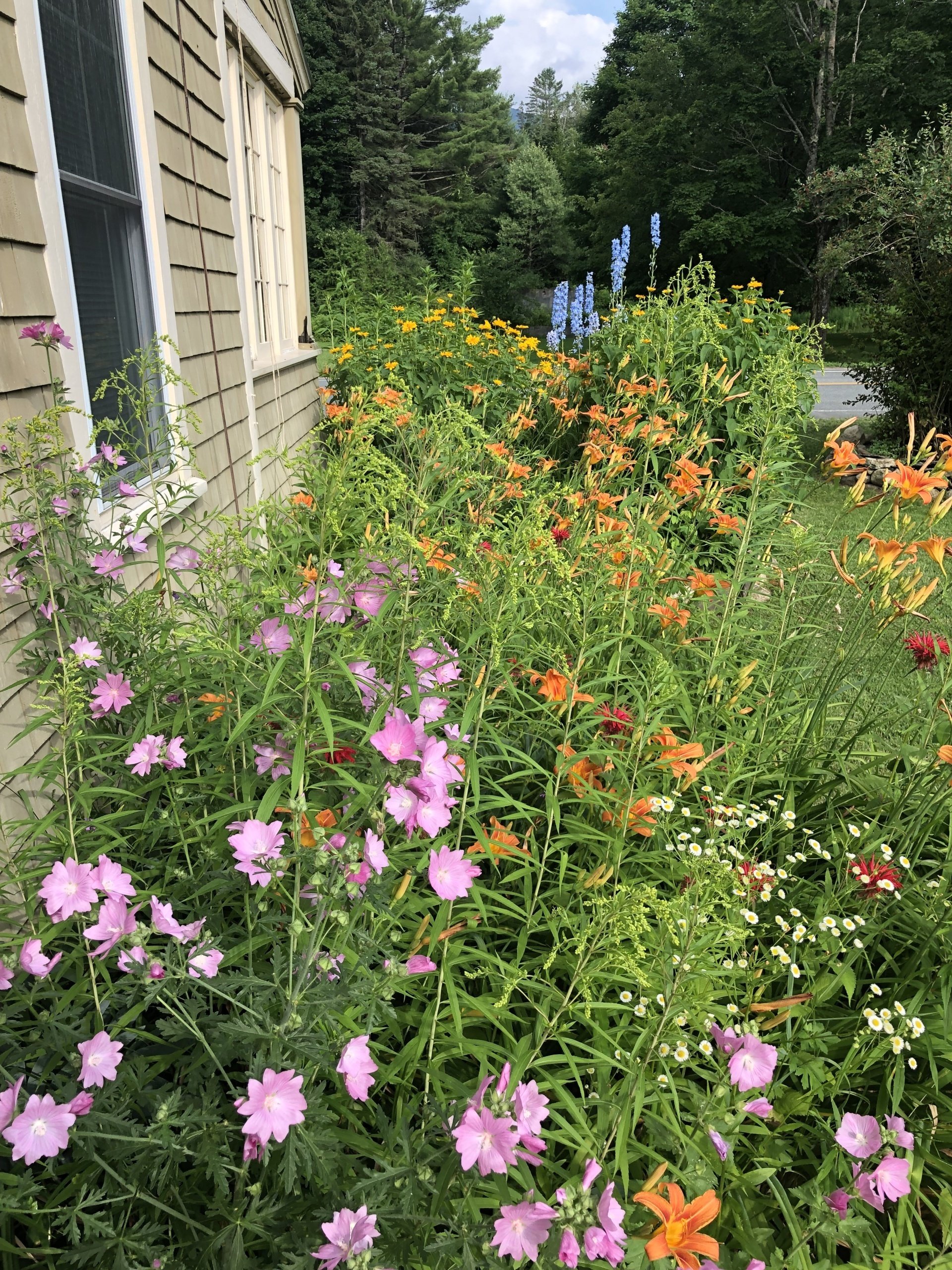 East Burke VT Vacation Rental Cottage Vacation Rental