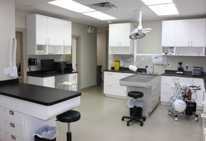North Vancouver Pet Hospital Mountain Hwy Veterinarian Lynn Valley