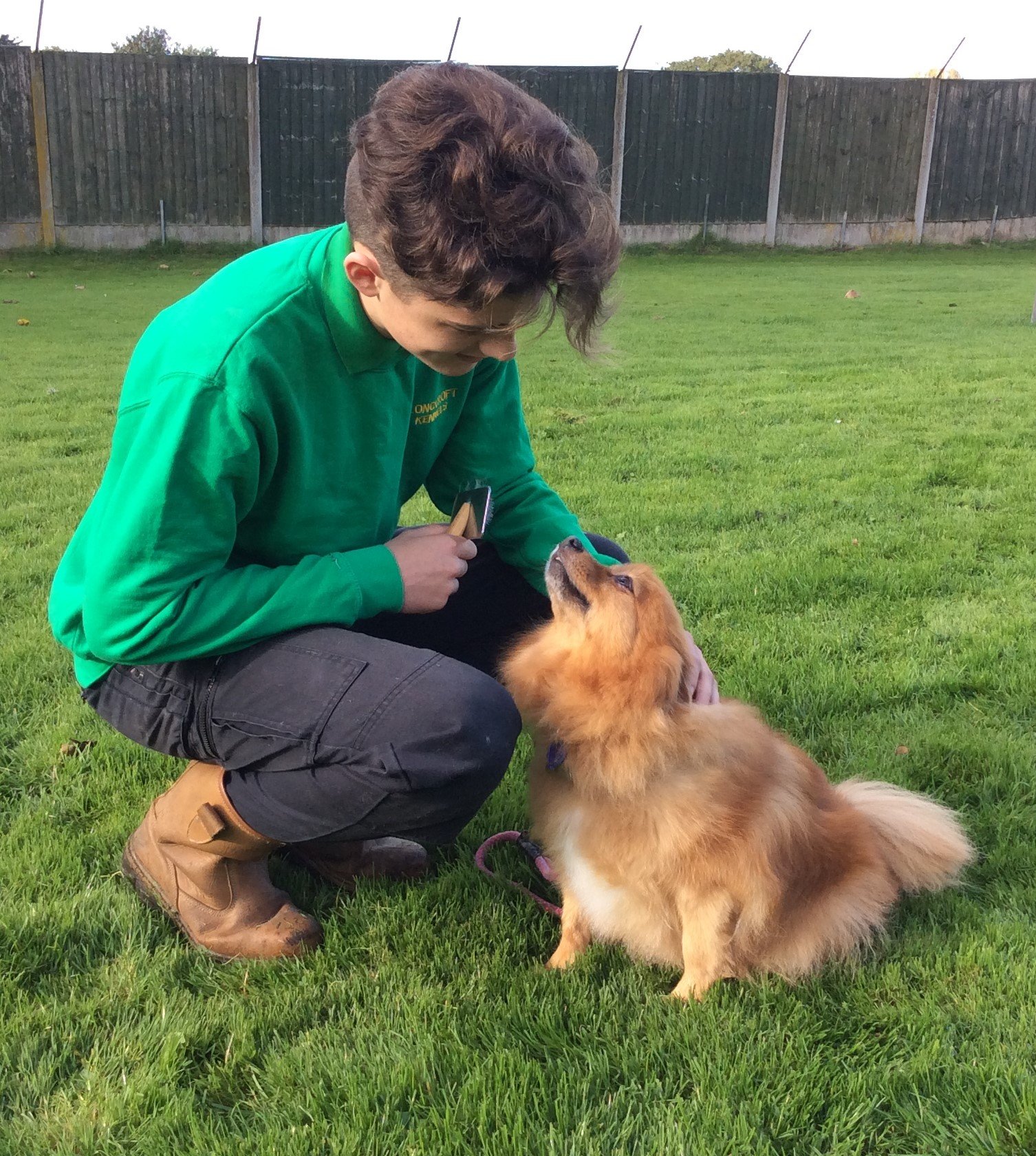 Pet care services Longcroft Boarding Kennels & Cattery