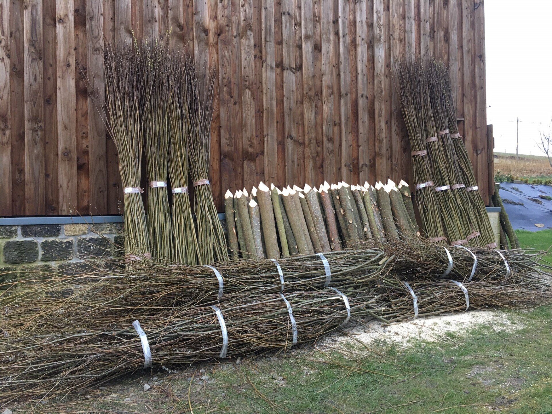 Sale of Willow Cuttings Willow Rods and Living Willow Structures