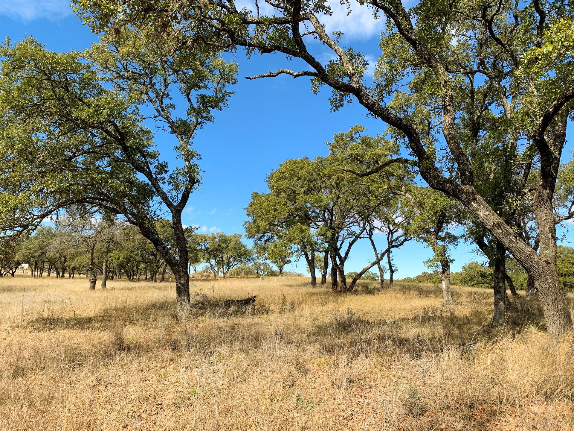 Available Properties Boot Ranch Fredericksburg, Texas 78624