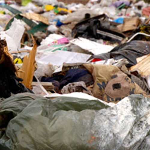 Domestic rubbish collection Dusty Bin Waste Sandown