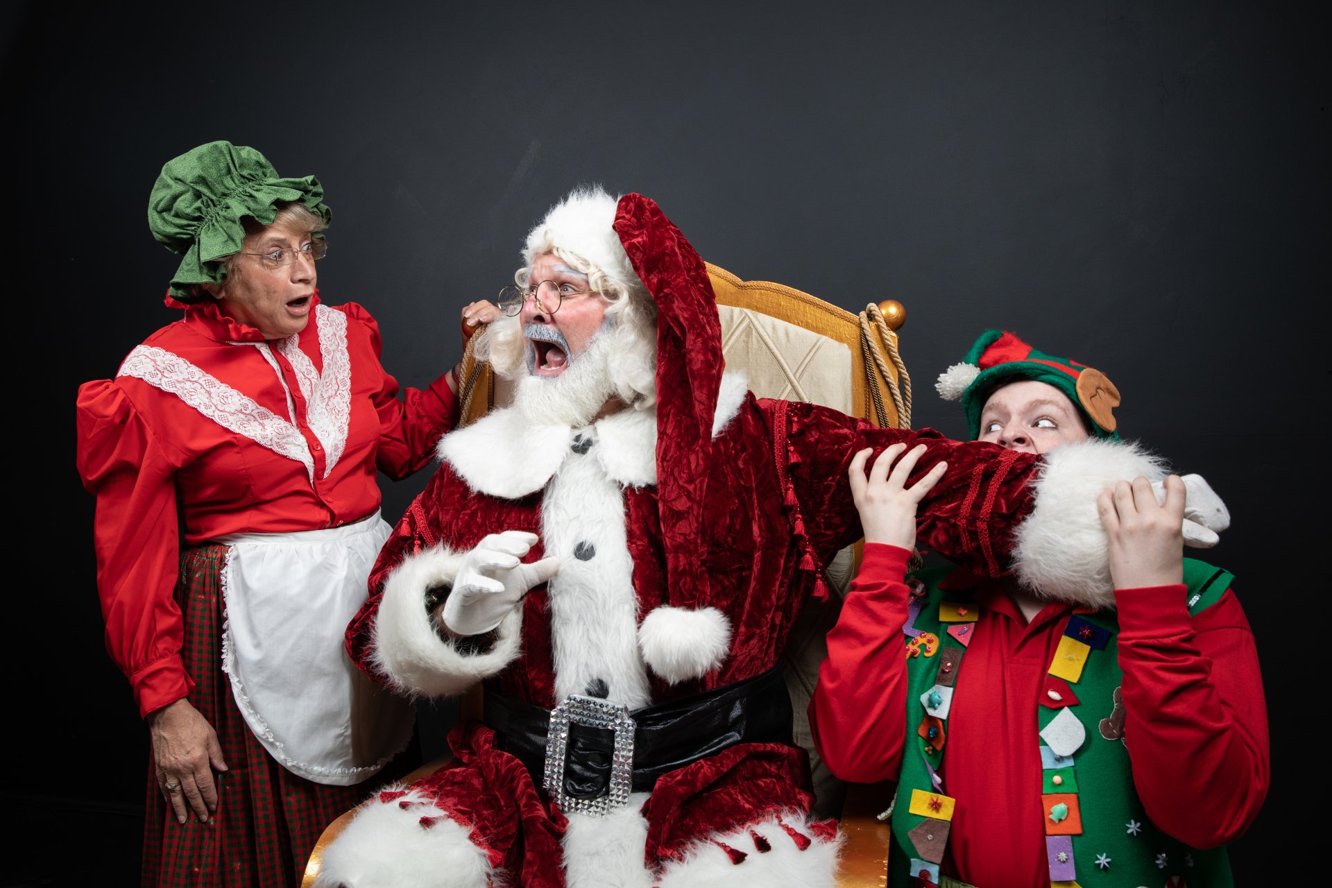 Santa Claus The Musical
