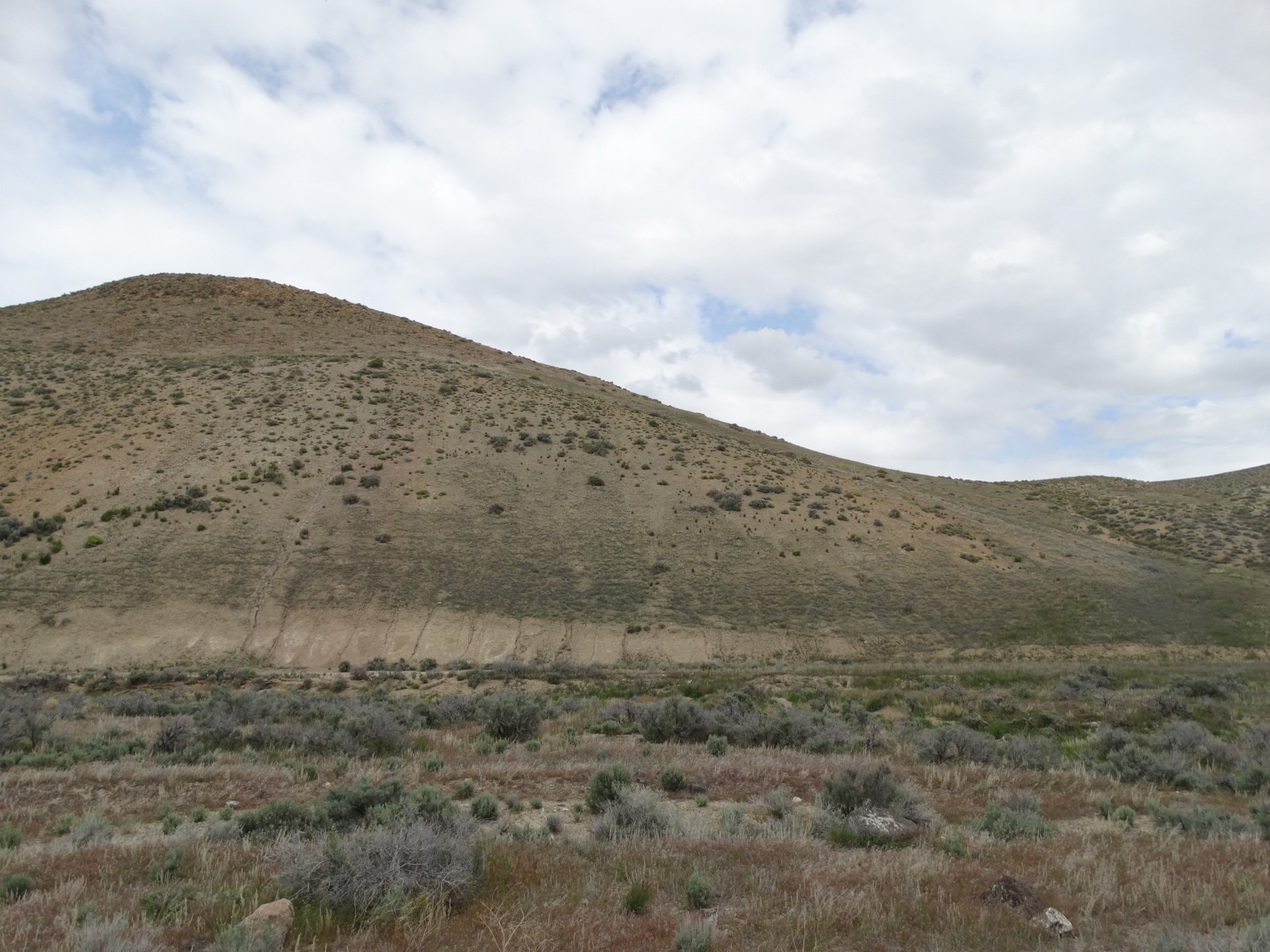 Nevada Land for Sale Hunting Land Mountain Land Acreage for Sale