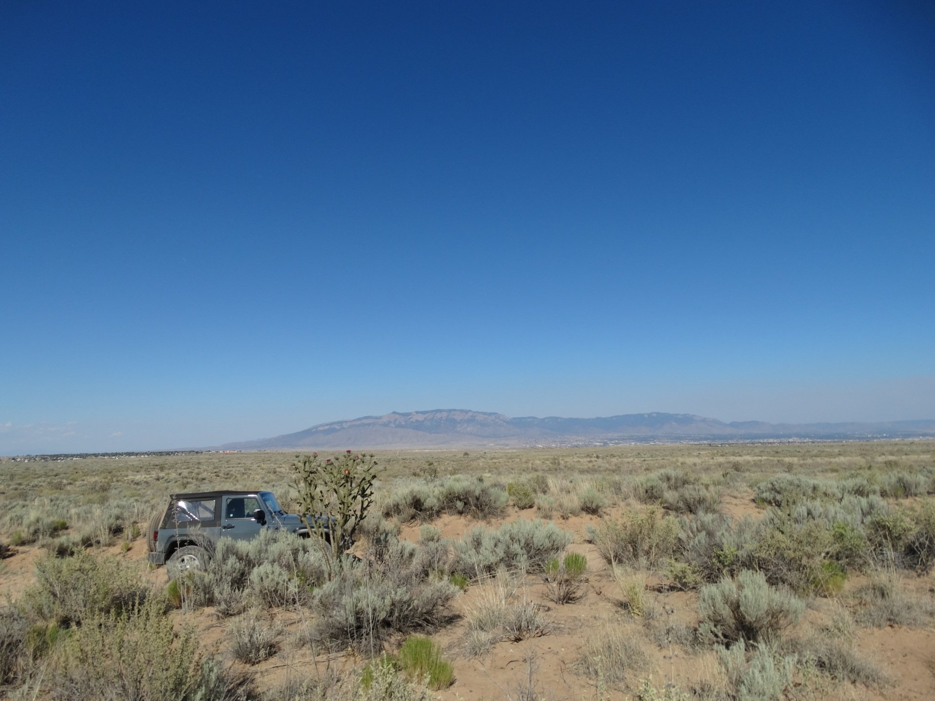 New Mexico Land for Sale Undeveloped Raw land