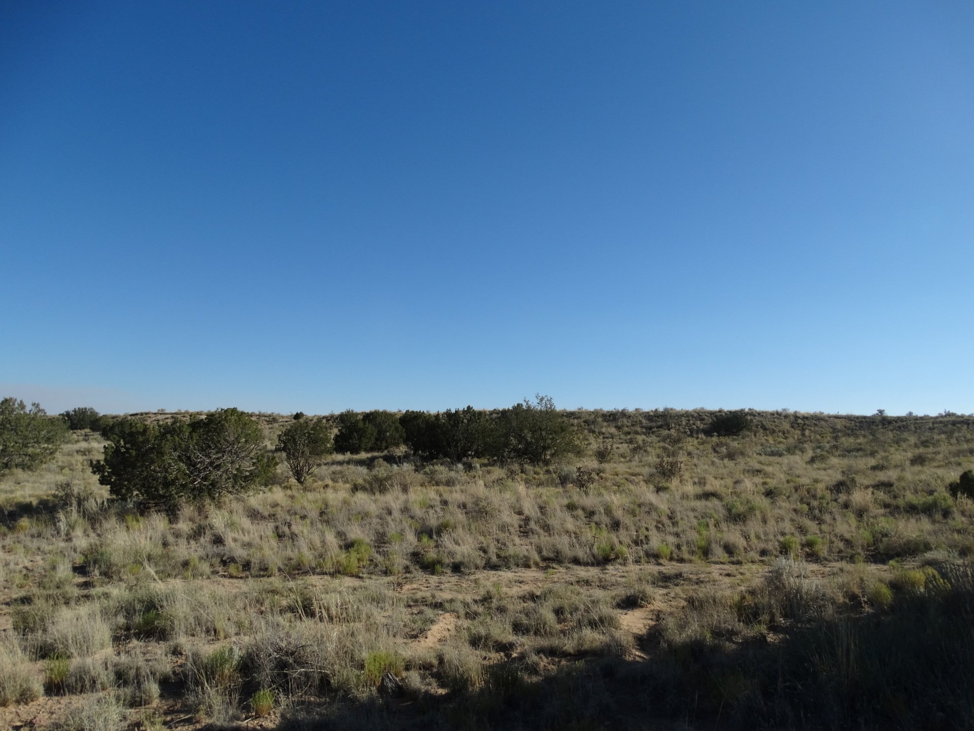 New Mexico Land for Sale Undeveloped Property Rio Rancho Estates