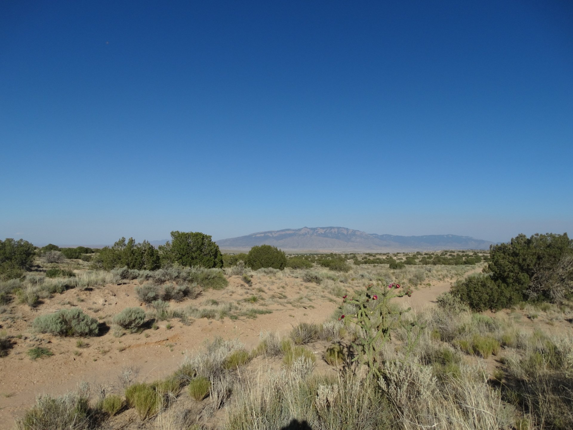 New Mexico Land for Sale Undeveloped Property Rio Rancho Estates