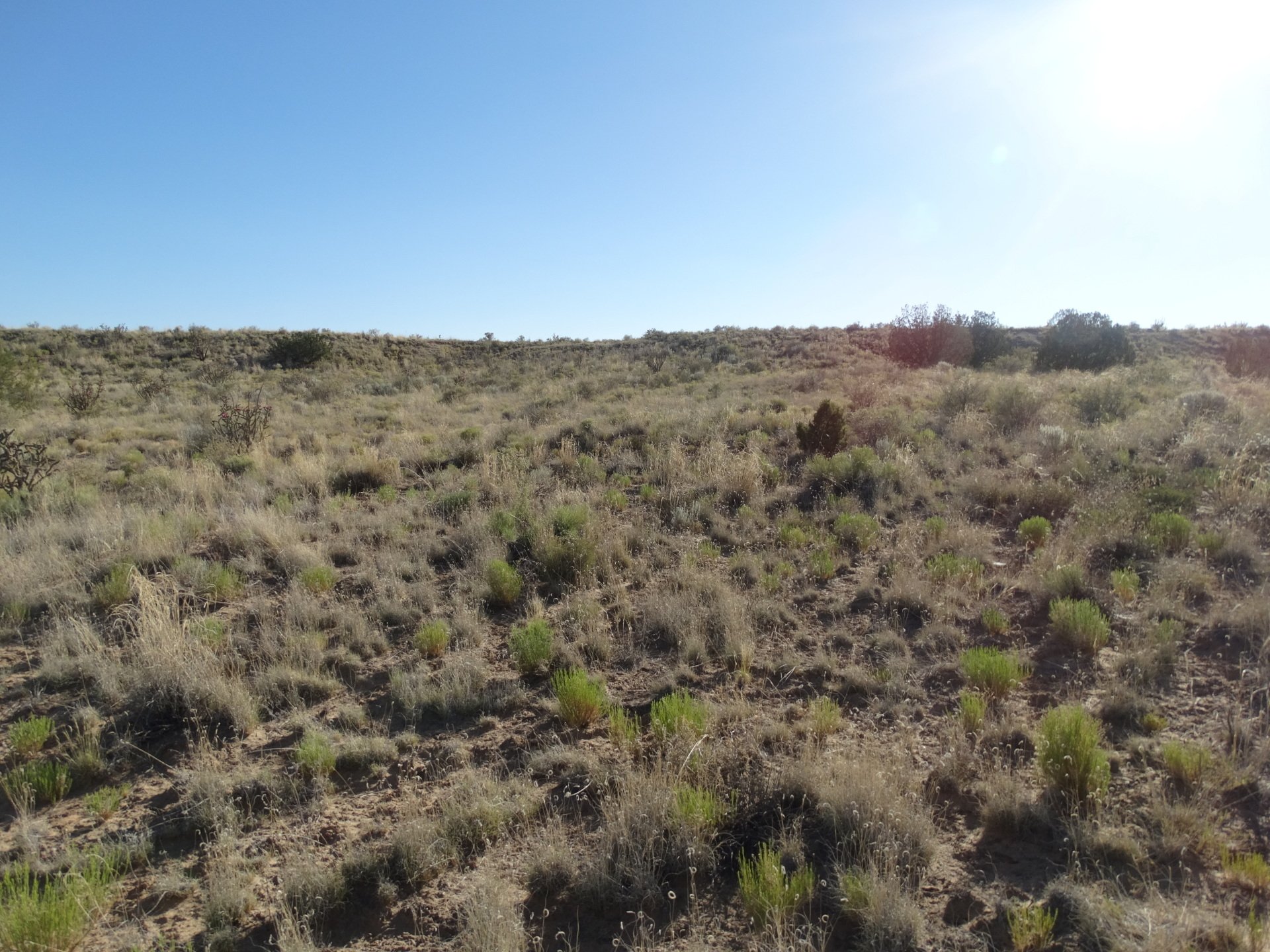 New Mexico Land for Sale Undeveloped Property Rio Rancho Estates
