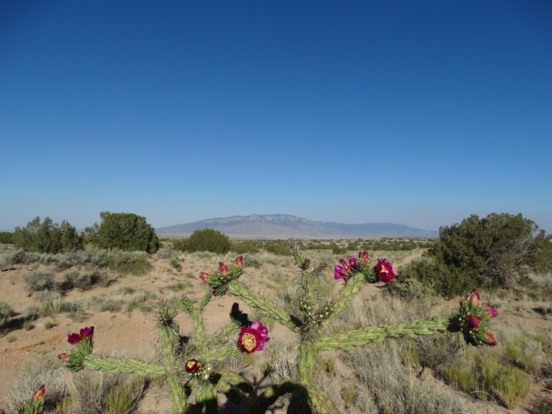 Gallup New Mexico Land For Sale at Rose Colston blog