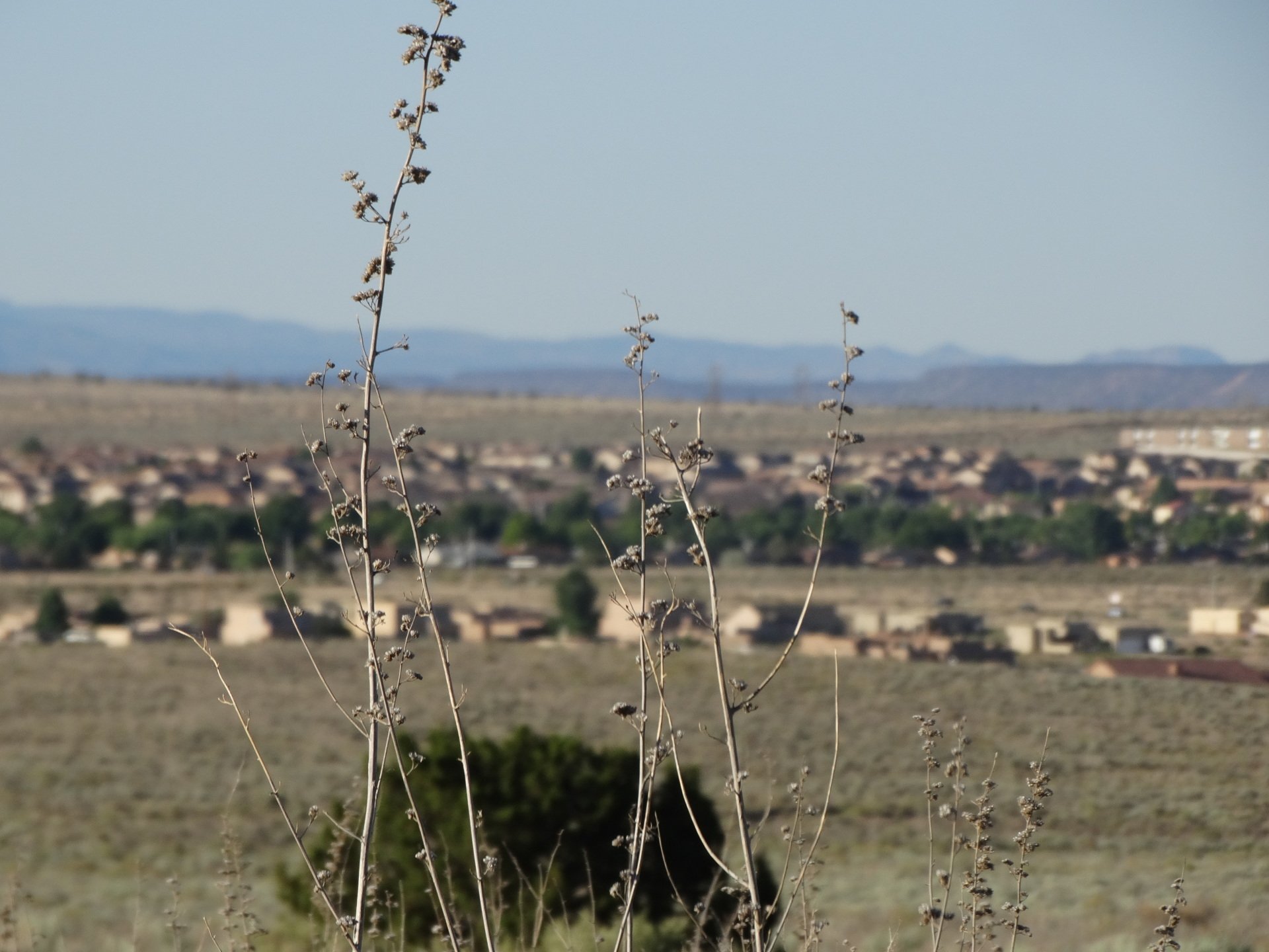 New Mexico Land for Sale Undeveloped Raw land