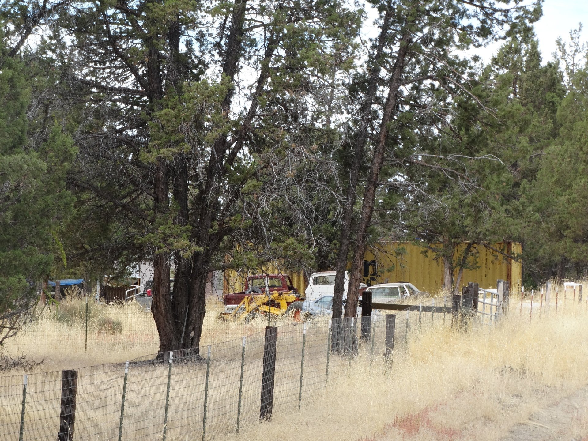 Rural Land for Sale Undeveloped Property Modoc Recreational Estates