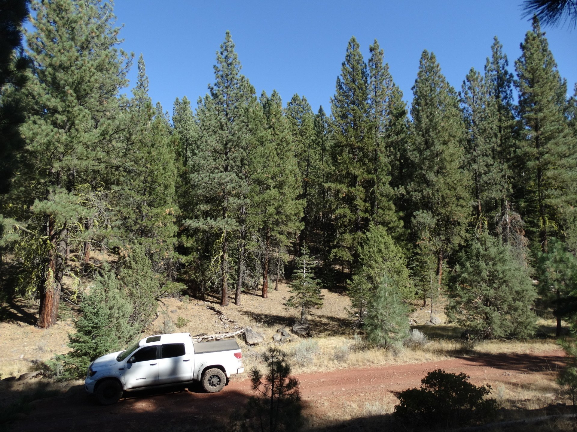 California Land for Sale Undeveloped Raw land