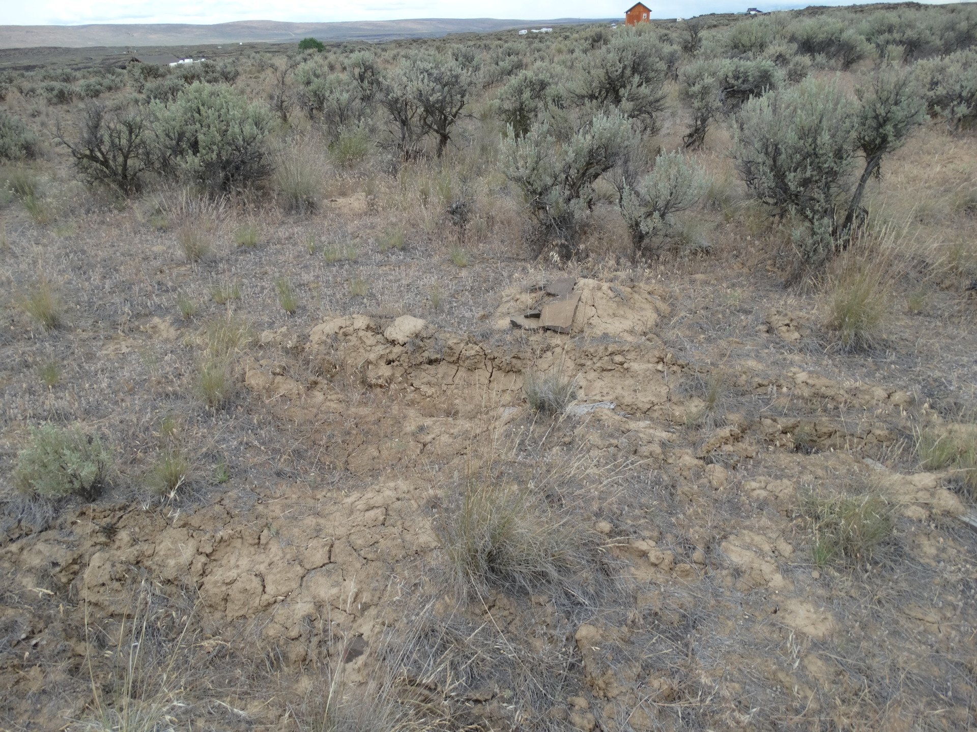 Washington Land for Sale Cheap land for sale Rimrock Meadows