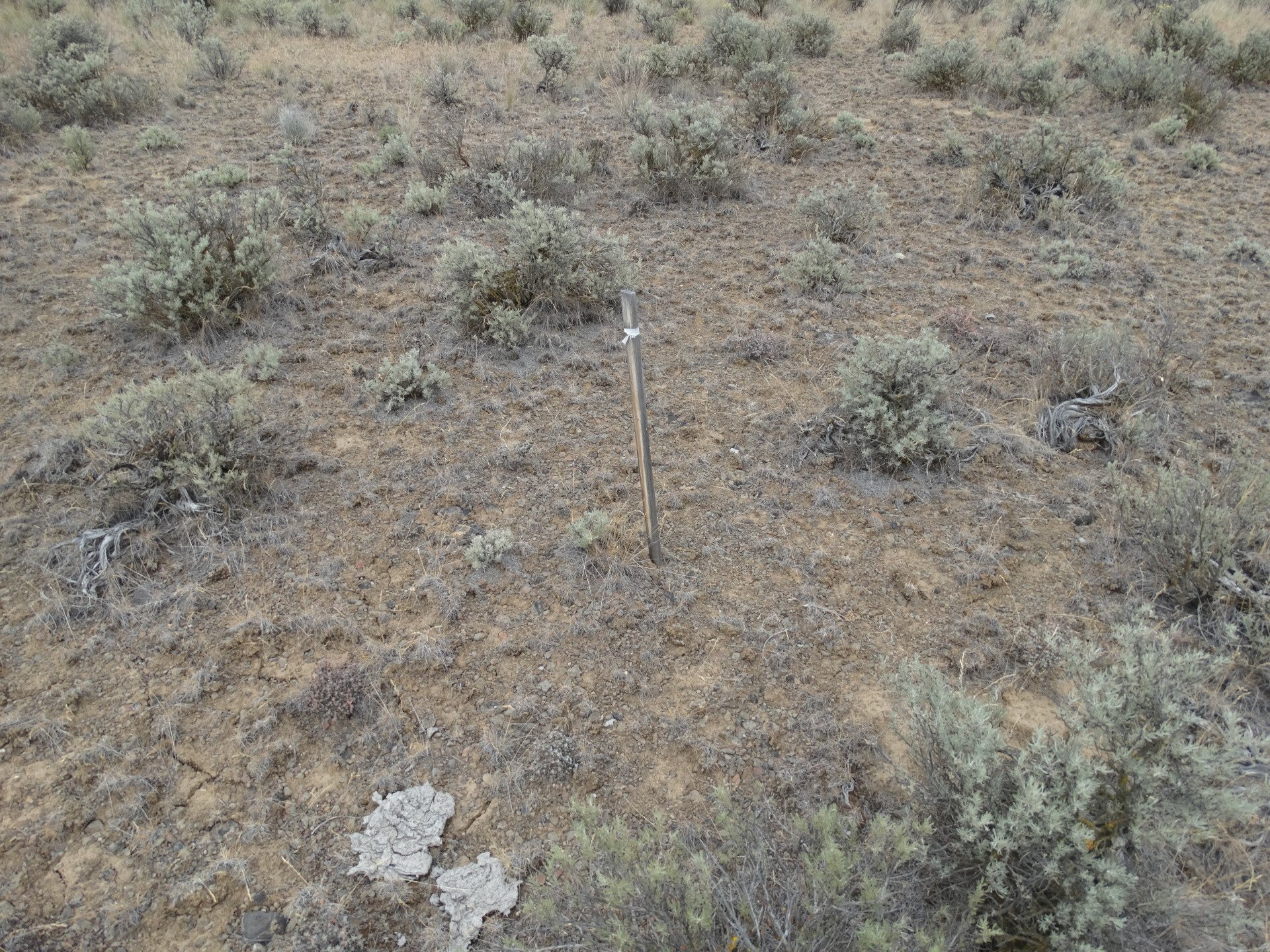 Washington Land for Sale Cheap land for sale Rimrock Meadows