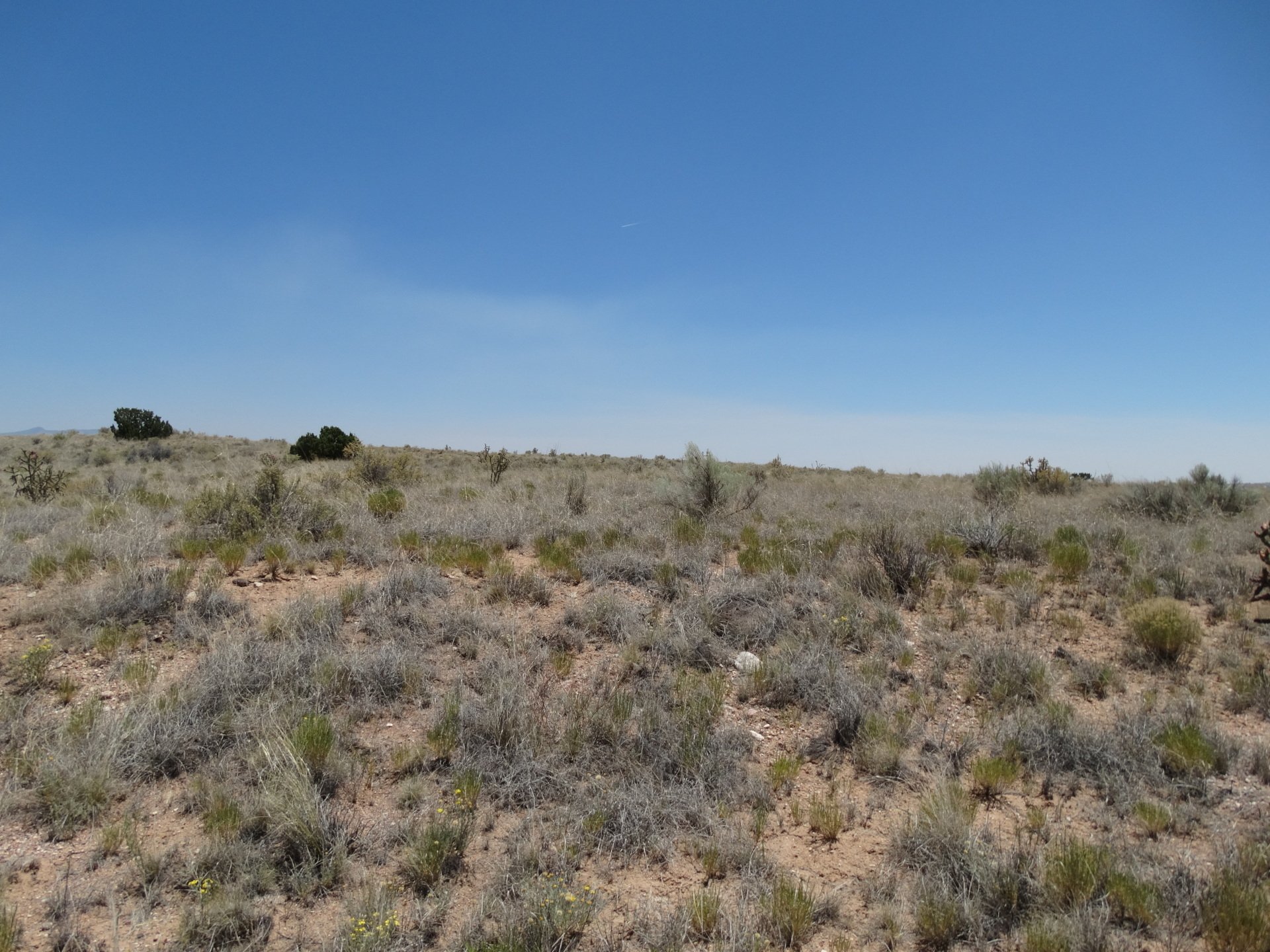 New Mexico Land for Sale Undeveloped Property Rio Rancho Estates