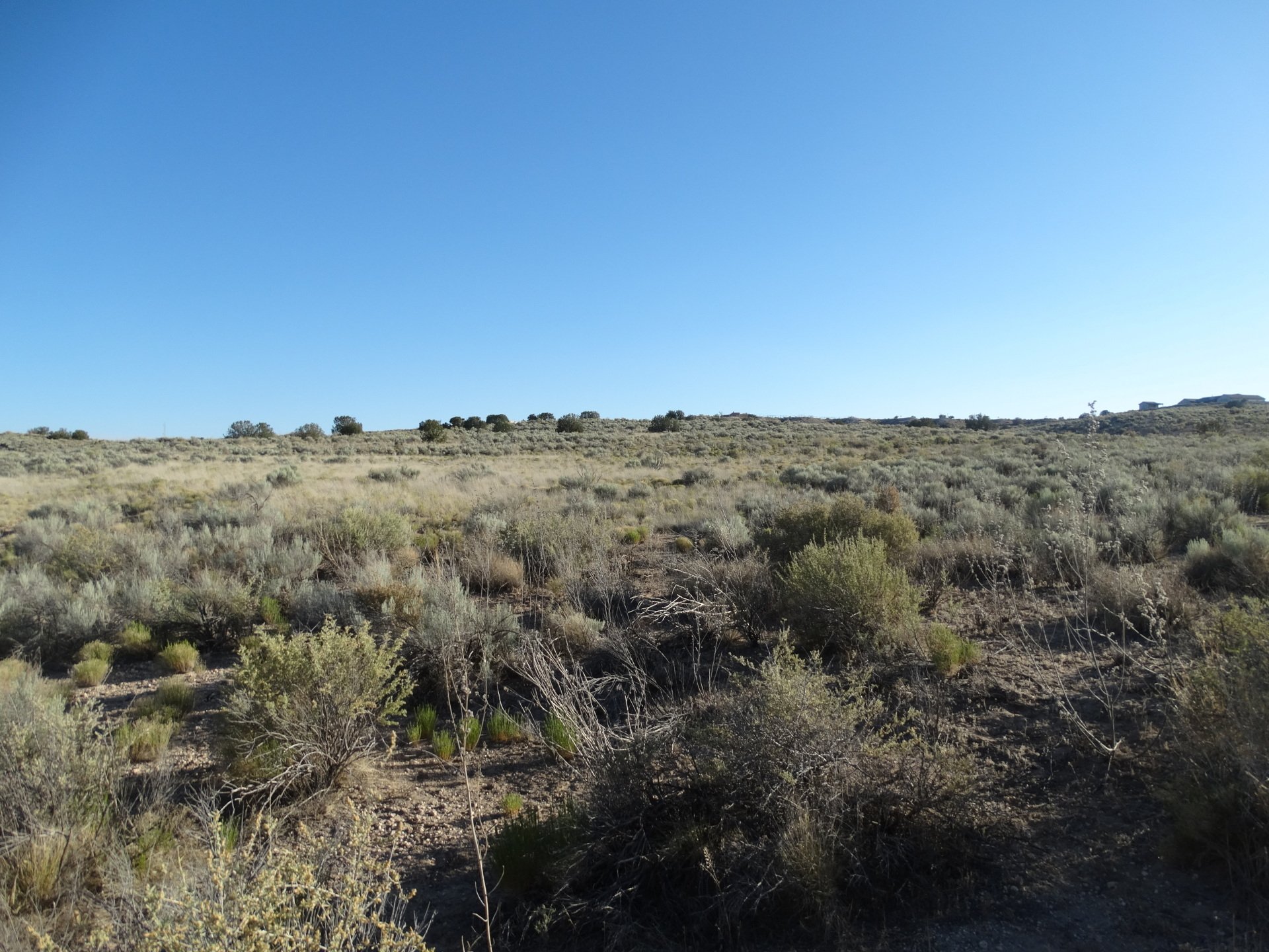 New Mexico Land for Sale Undeveloped Property Rio Rancho Estates