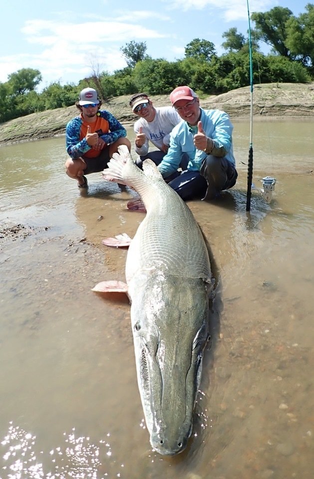 Texas Alligator Gar Fishing Trips With Garzilla Guide Service