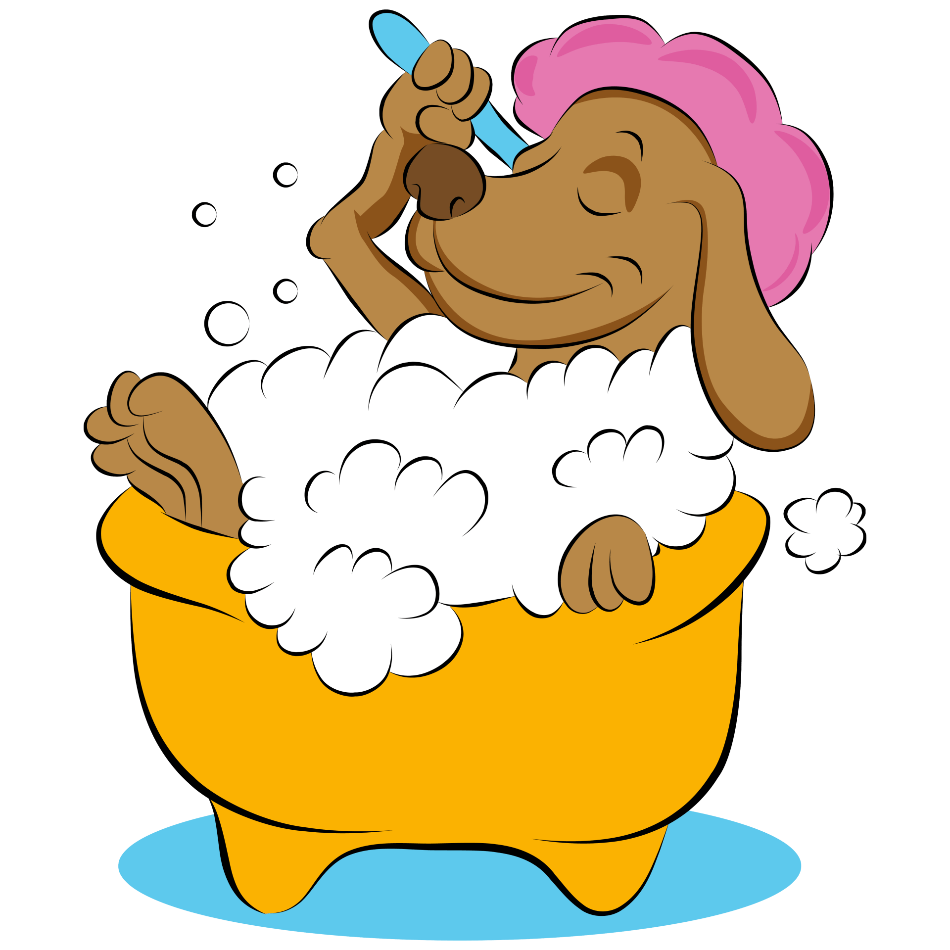 Dog Grooming and Clipping Hambrook Bristol 0117 9571500