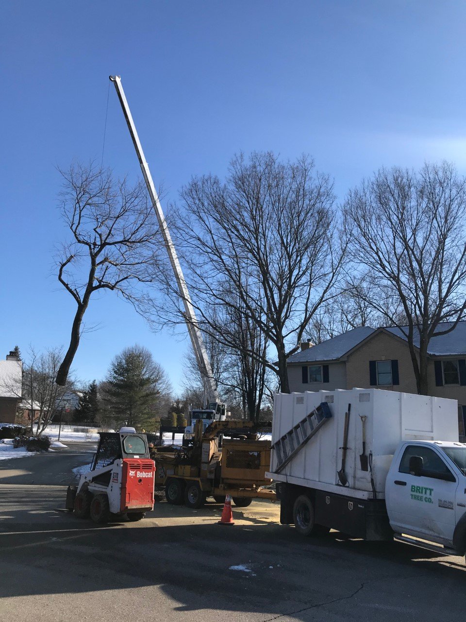 ServicesBritt Tree Company has all your lawn care and tree needs