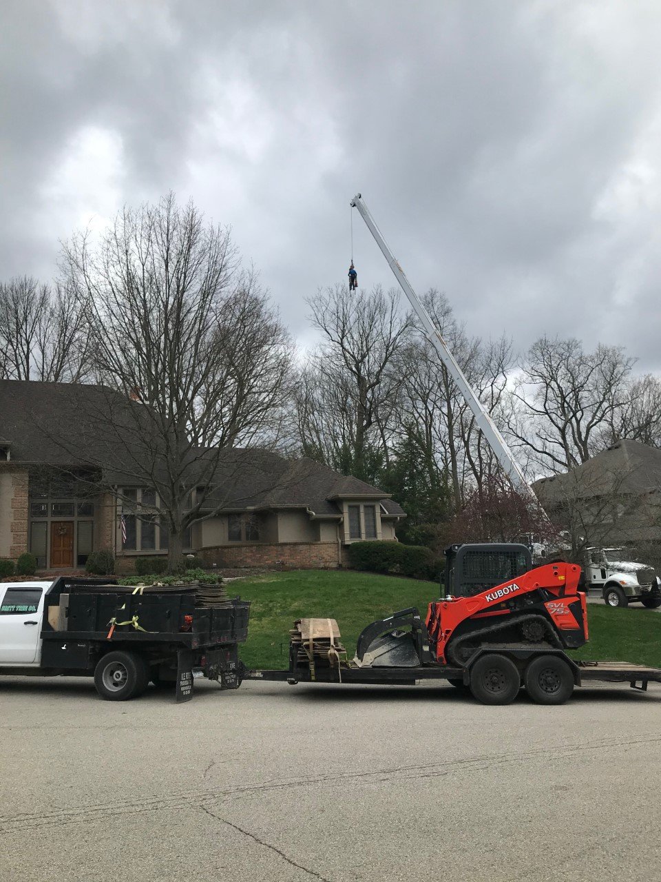 About UsBritt Tree Co provides more information on our tree care